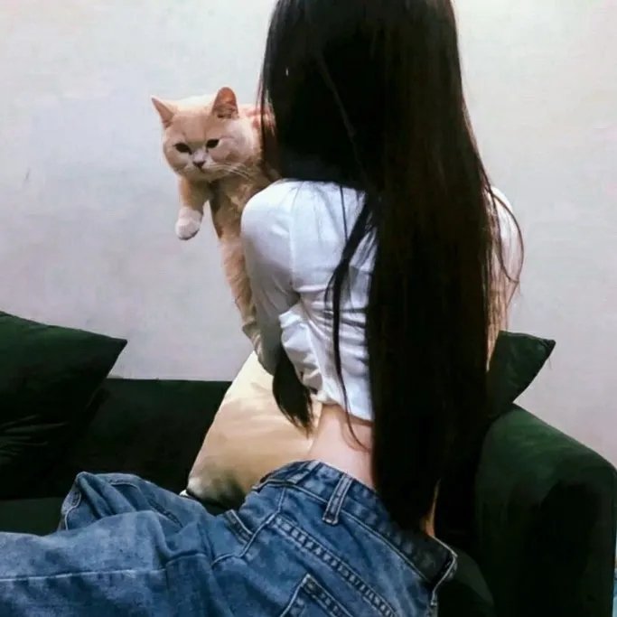 阿尔迪克