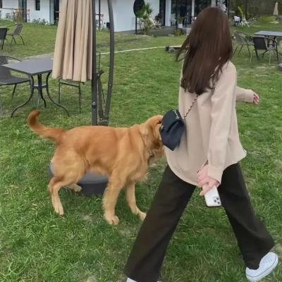 潜行追踪 第三季
